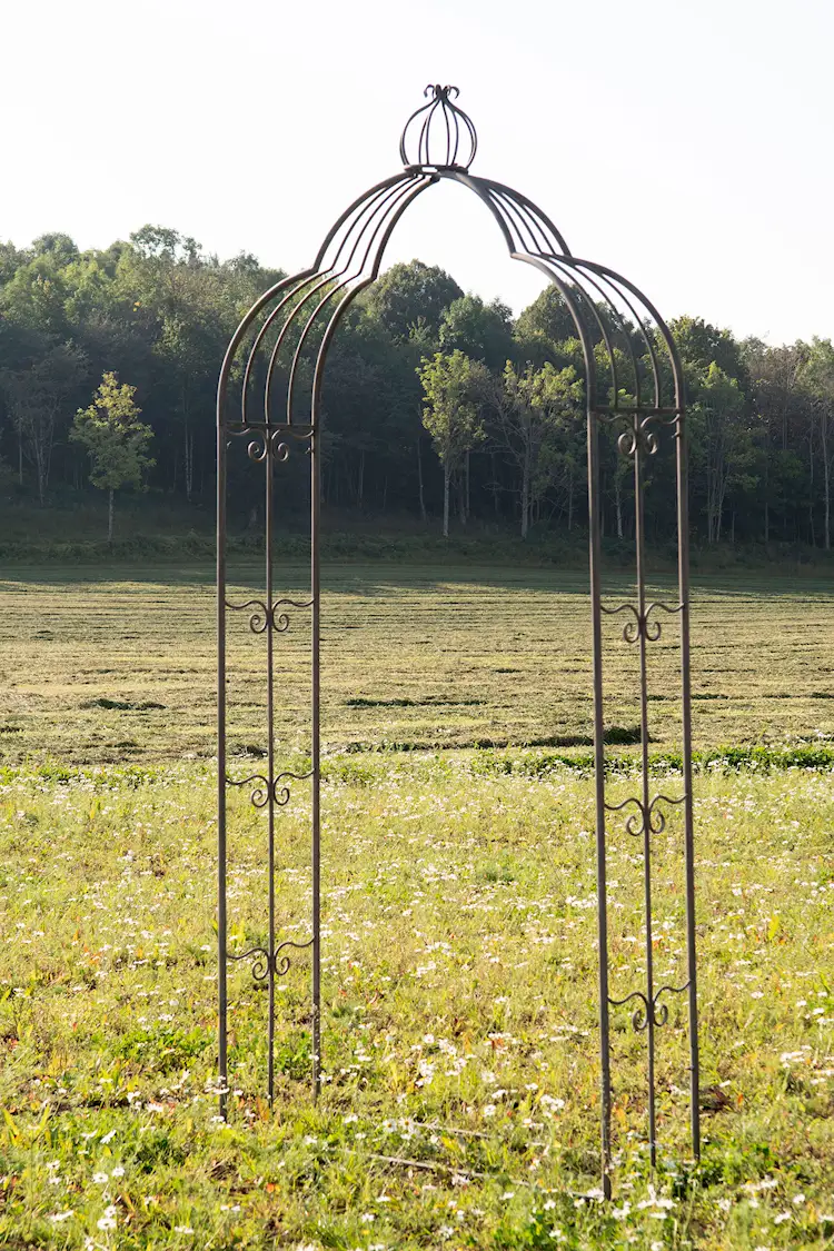 Plant support Rose arch Crown Metal - 252 cm