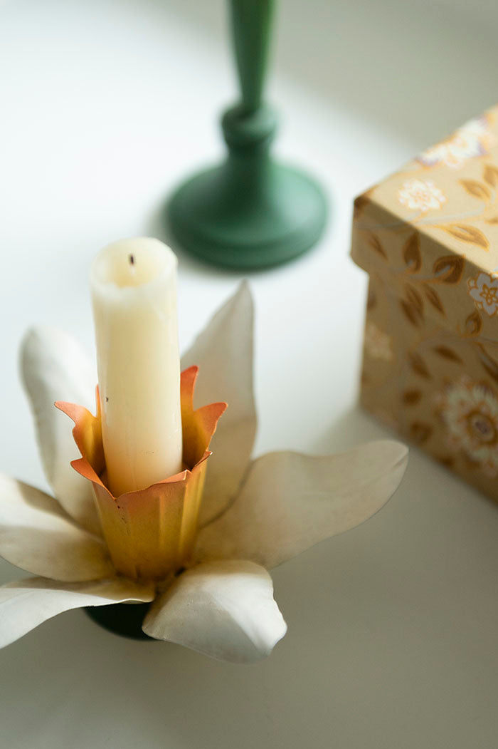 Candlestick - Daffodil - Narcissus - 3