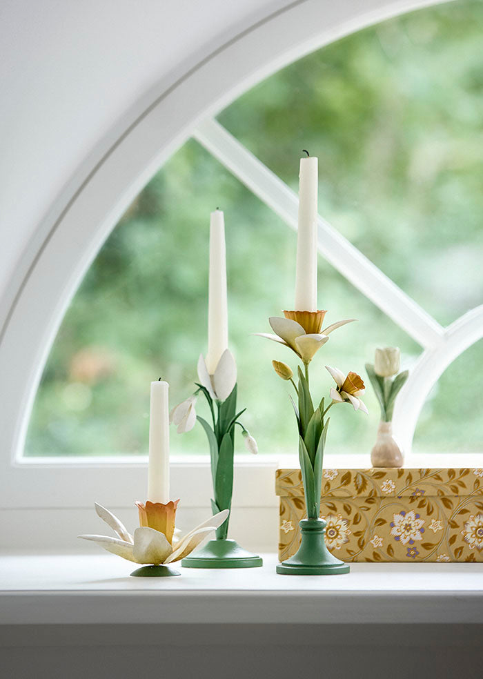 Candlestick - Daffodil - Narcissus - 2
