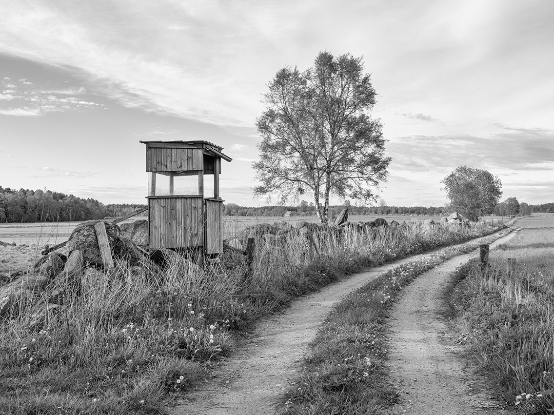 Tore Hagman - Landskapets väntplatser - 5