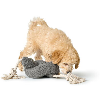 HUNTER Toy Madrid Polyester Gray