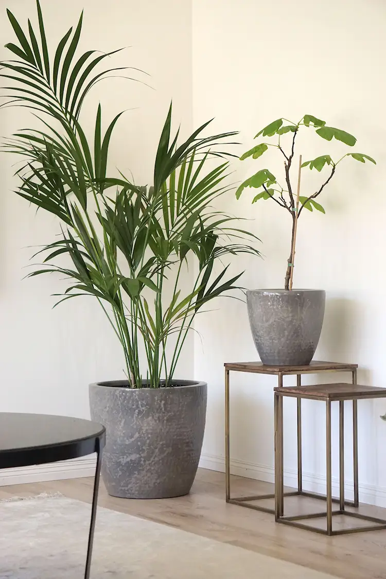 Sidobord Square Antik Mässing/Trä - 47/53 cm - 2 st
