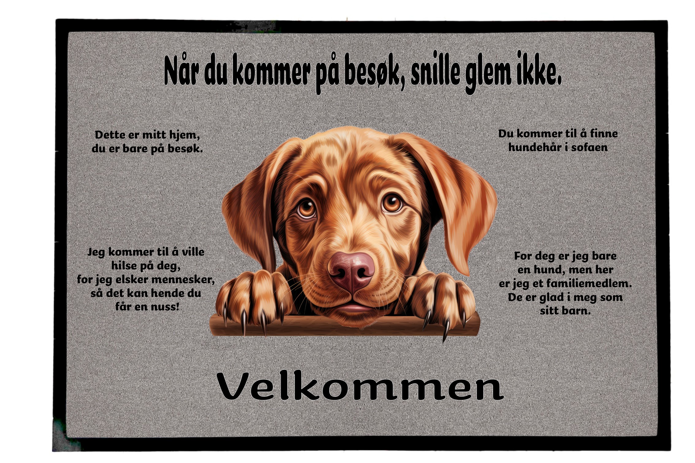 Dørmatte Labrador 5