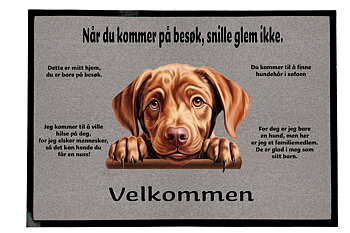 Dørmatte Labrador 5