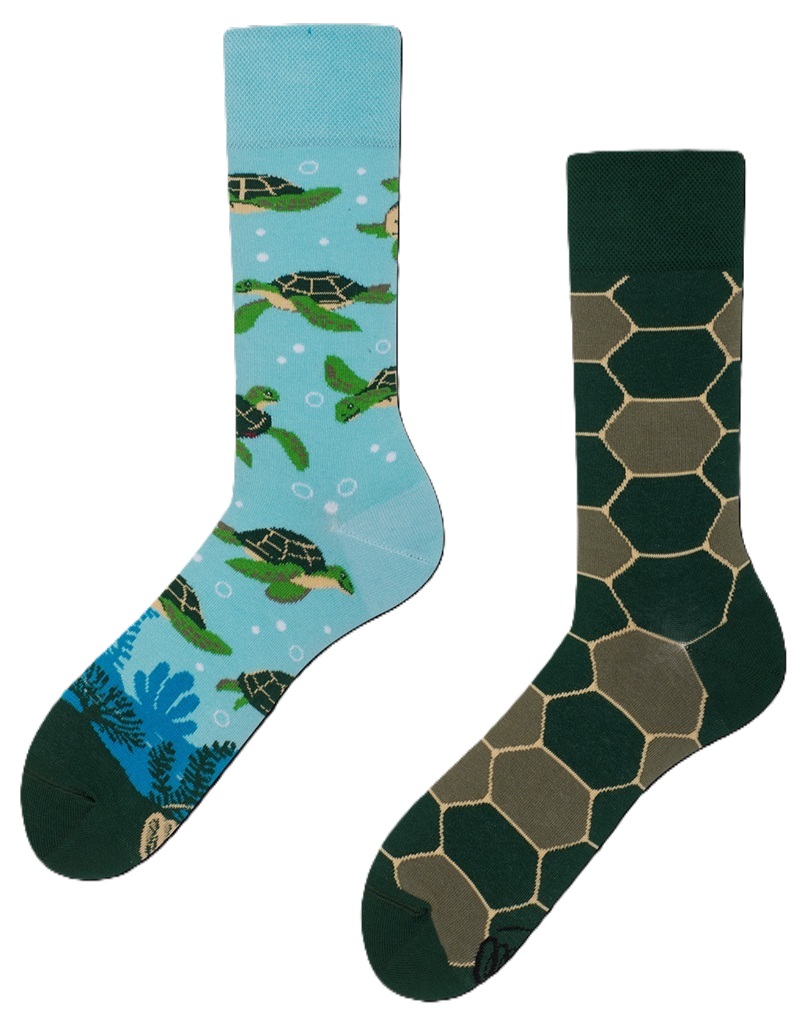 Many Mornings Turtle Time