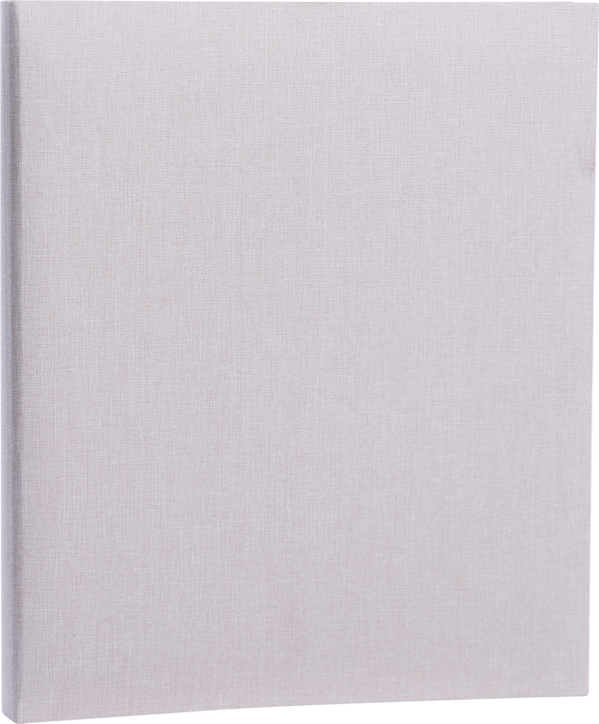Focus Essence ringbinder beige
