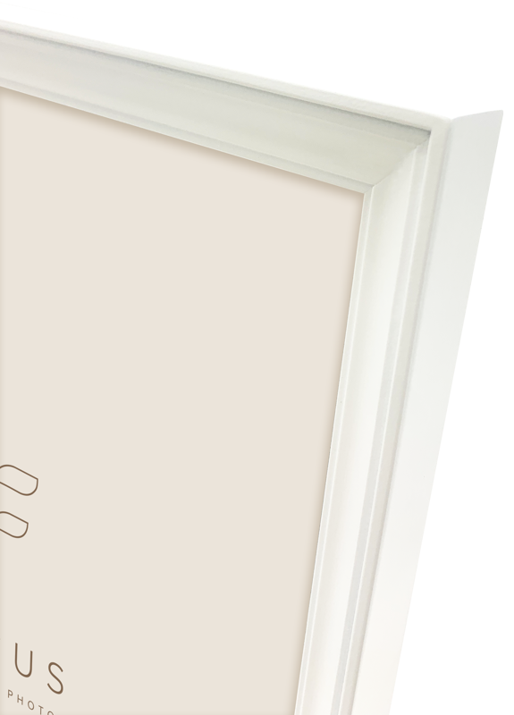 Focus  Calla White 10x15 - 4