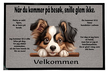 Dørmatte Papillon 2