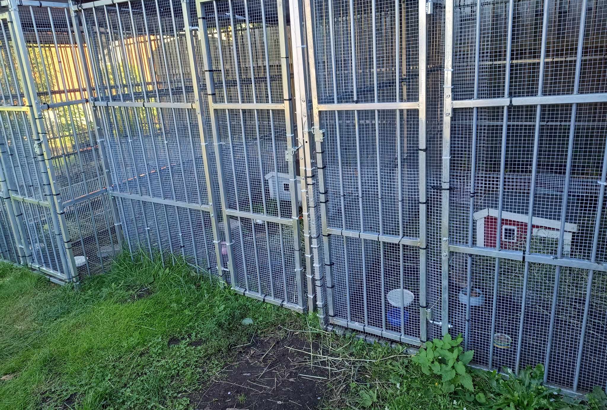 STEG 4 Anpassad miljö - 3