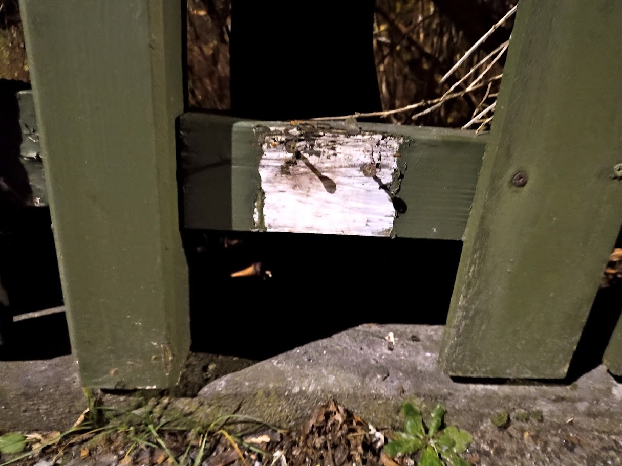 "Hur kan jag hjälpa igelkotten i min trädgård?" - 15