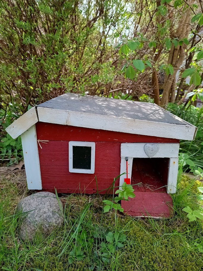 "Hur kan jag hjälpa igelkotten i min trädgård?" - 6
