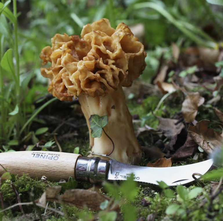 Opinel Svampkniv - N°08 - 5