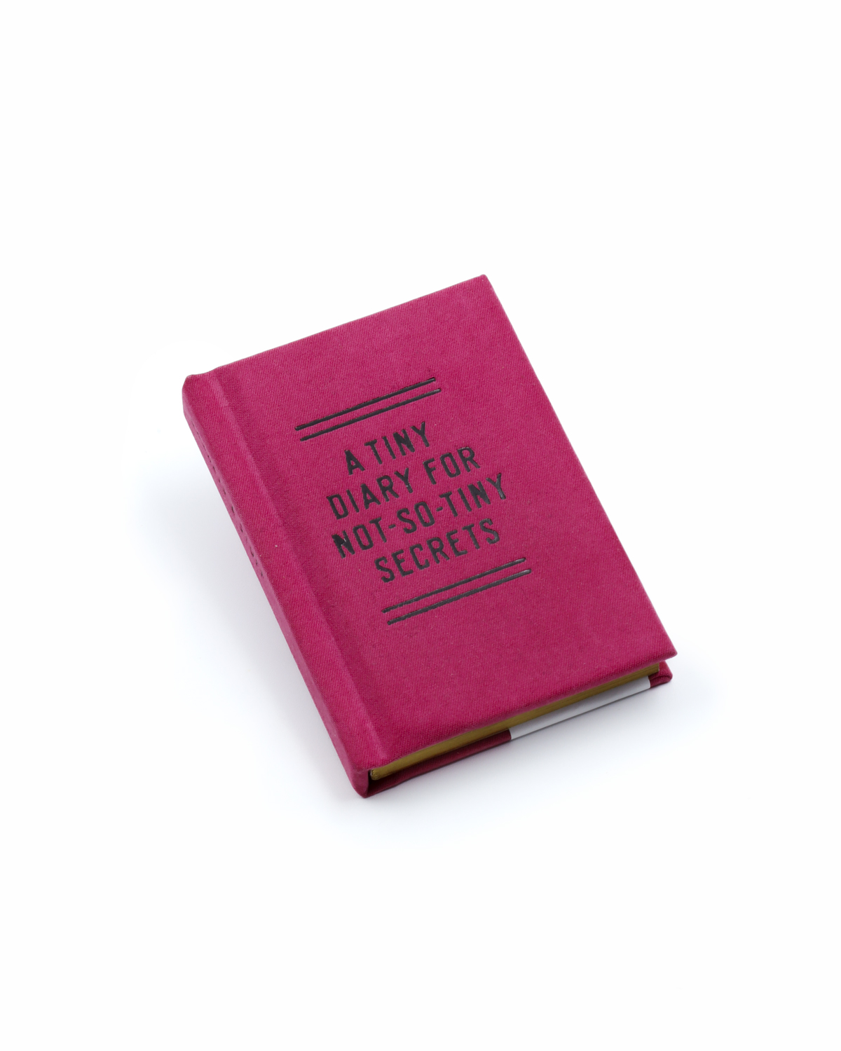 A Tiny Diary For Not So Tiny Secrets 