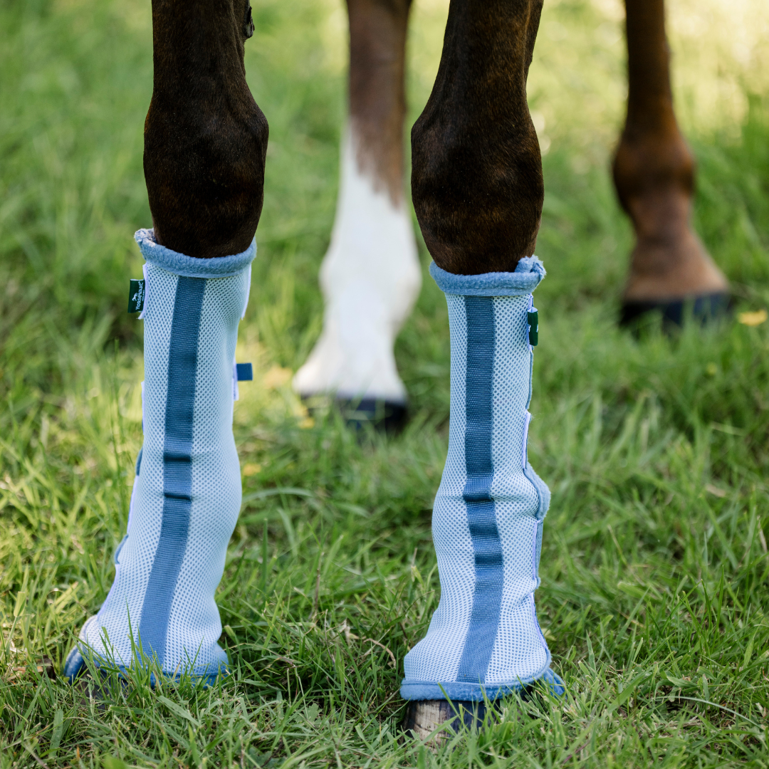 HORSEWARE FLUESTØVLER 2-PAK - 3