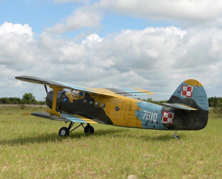 Black Horse Antonov An-2 30-35cc 2425mm vingspan - 2