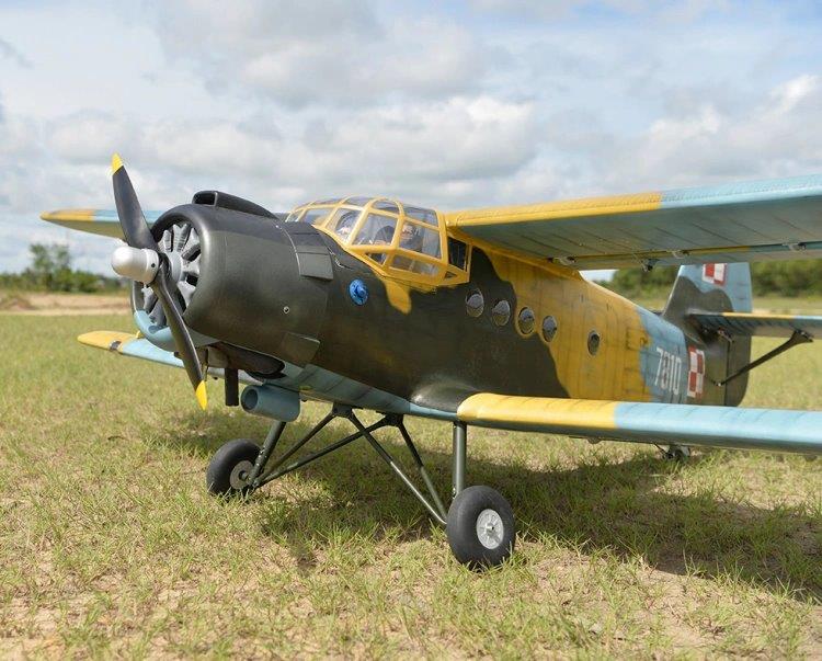 Black Horse Antonov An-2 30-35cc 2425mm vingspan - 3