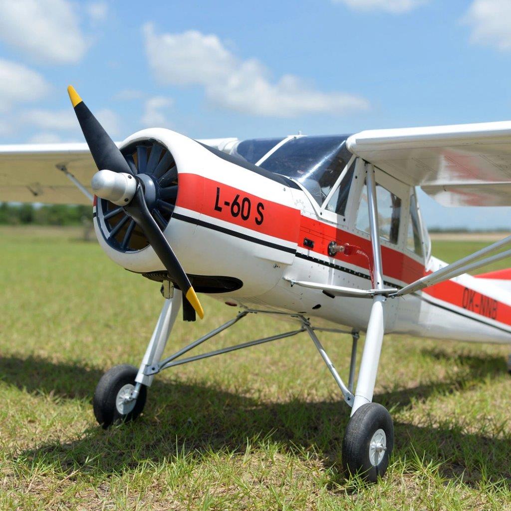 Black Horse L-60 Brigadyr 30-35cc Gas 2668mm ARF - 4