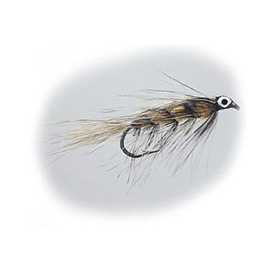 Wiggler Special #8