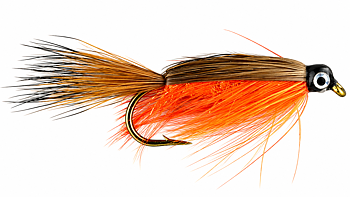 Wiggler Special Orange #8