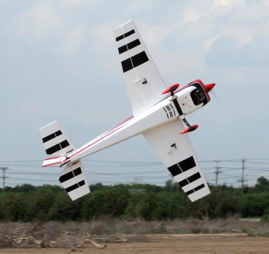 Black Horse Extra 300 226cm 76cc Gas ARF - 4
