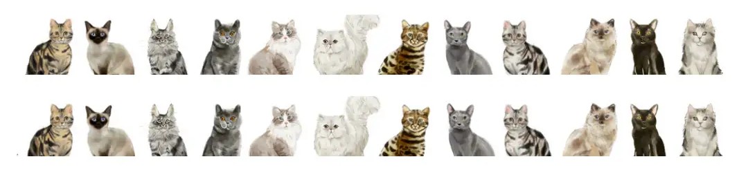 Washi tape - katter