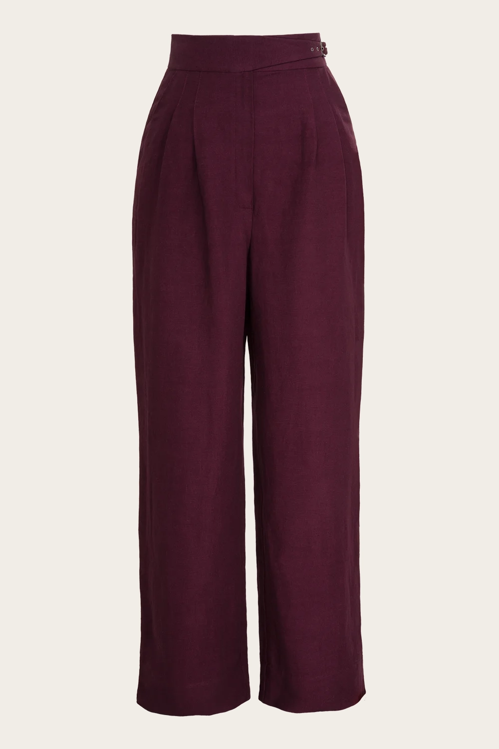 The Sassy Side Adjuster Slacks - 4