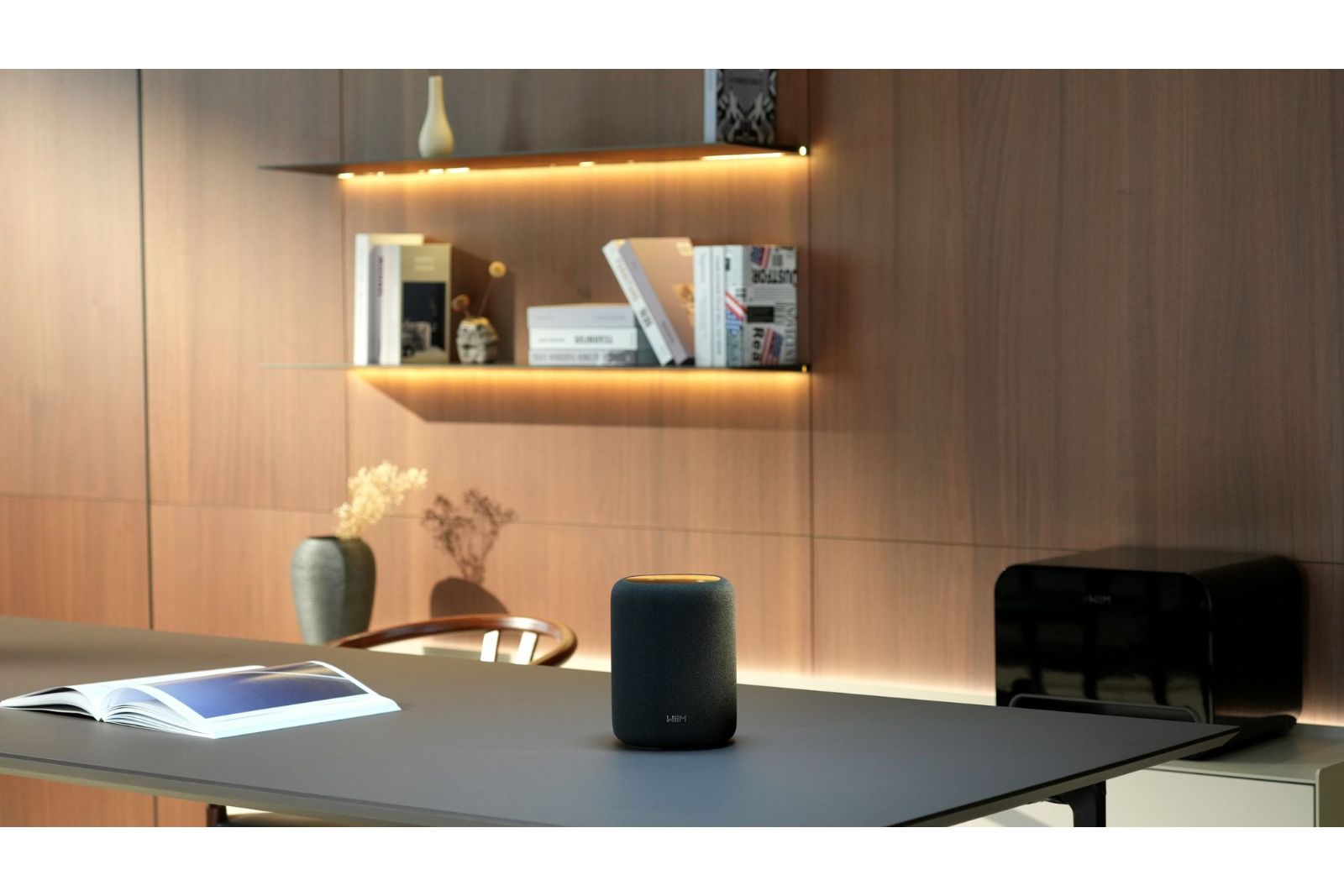 WiiM Sound Lite - 6