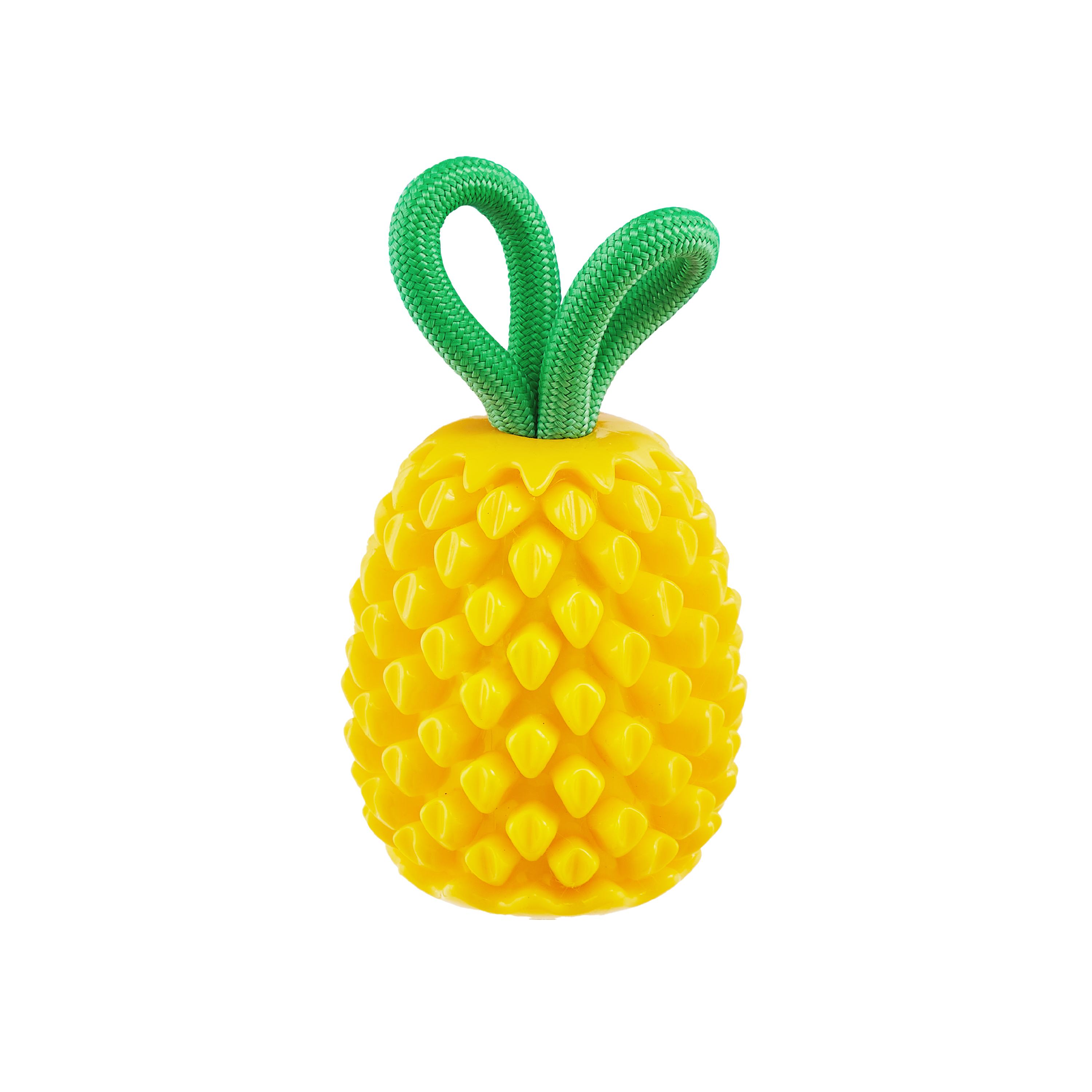 DENTAL PINEAPPLE - TREAT STUFFER - Nina Ottosson Treat Puzzle