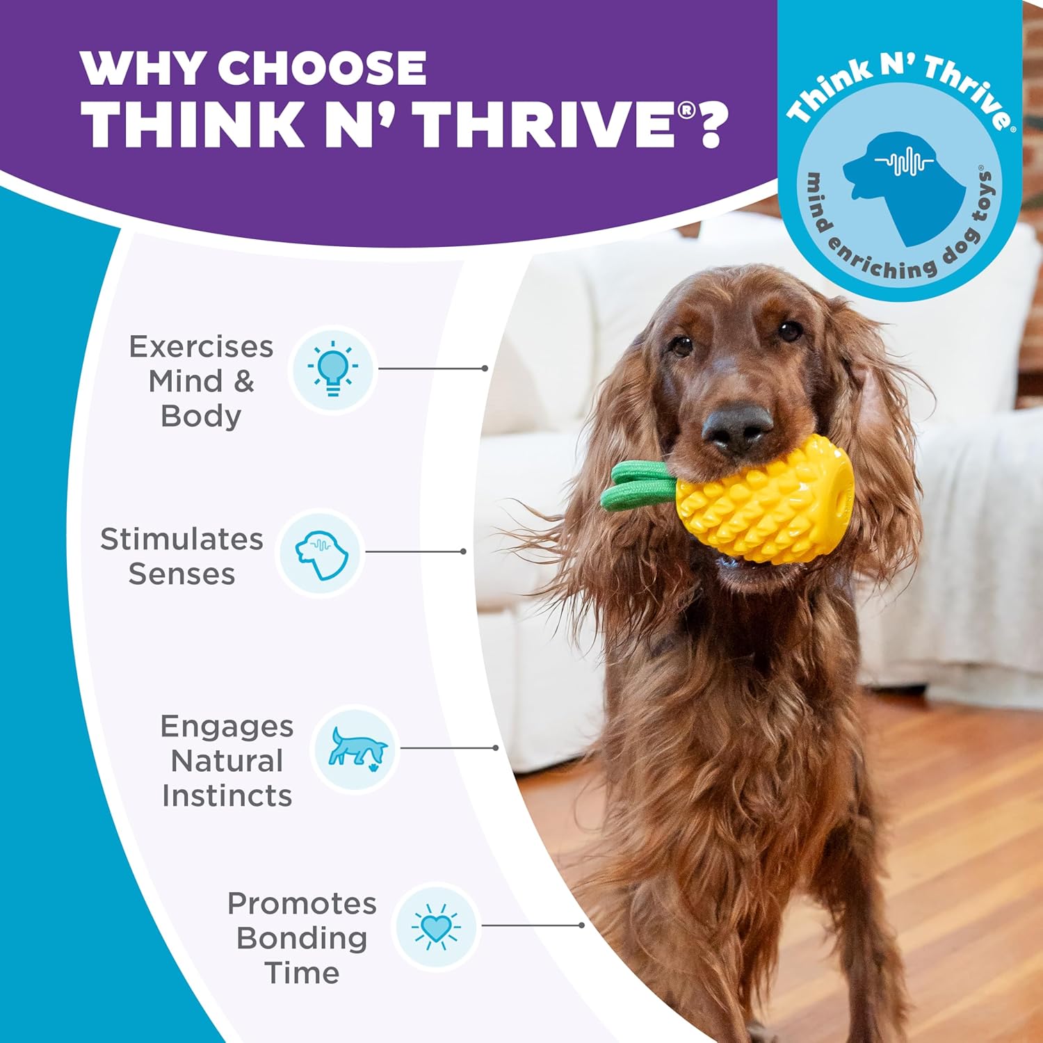 DENTAL PINEAPPLE - TREAT STUFFER - Nina Ottosson Treat Puzzle