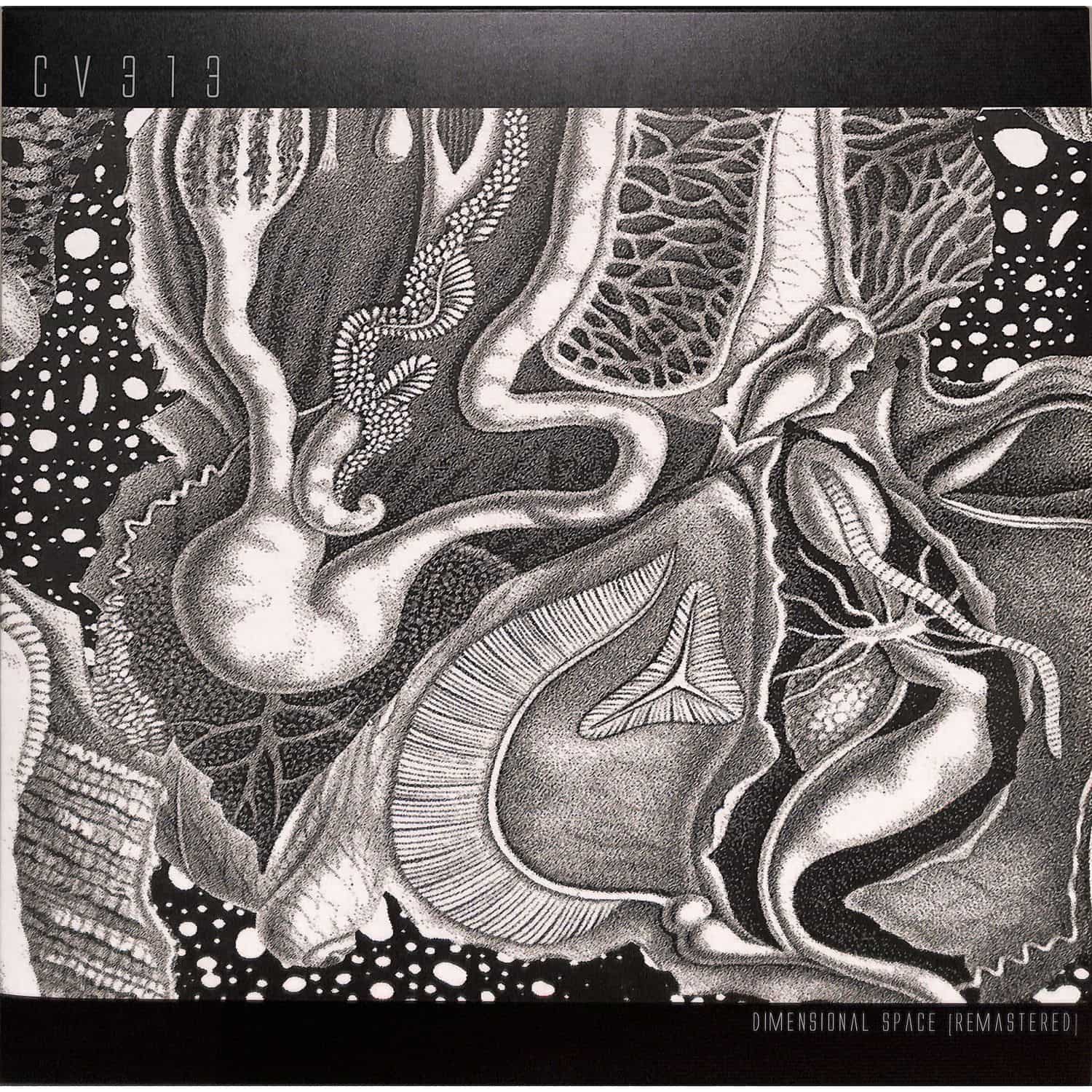 cv313 - dimensional space 