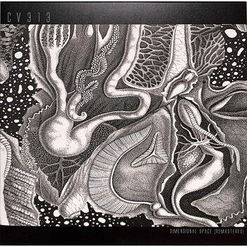 cv313 - dimensional space 
