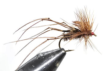 Fasantupp stjärtfjädrar - Cookshill