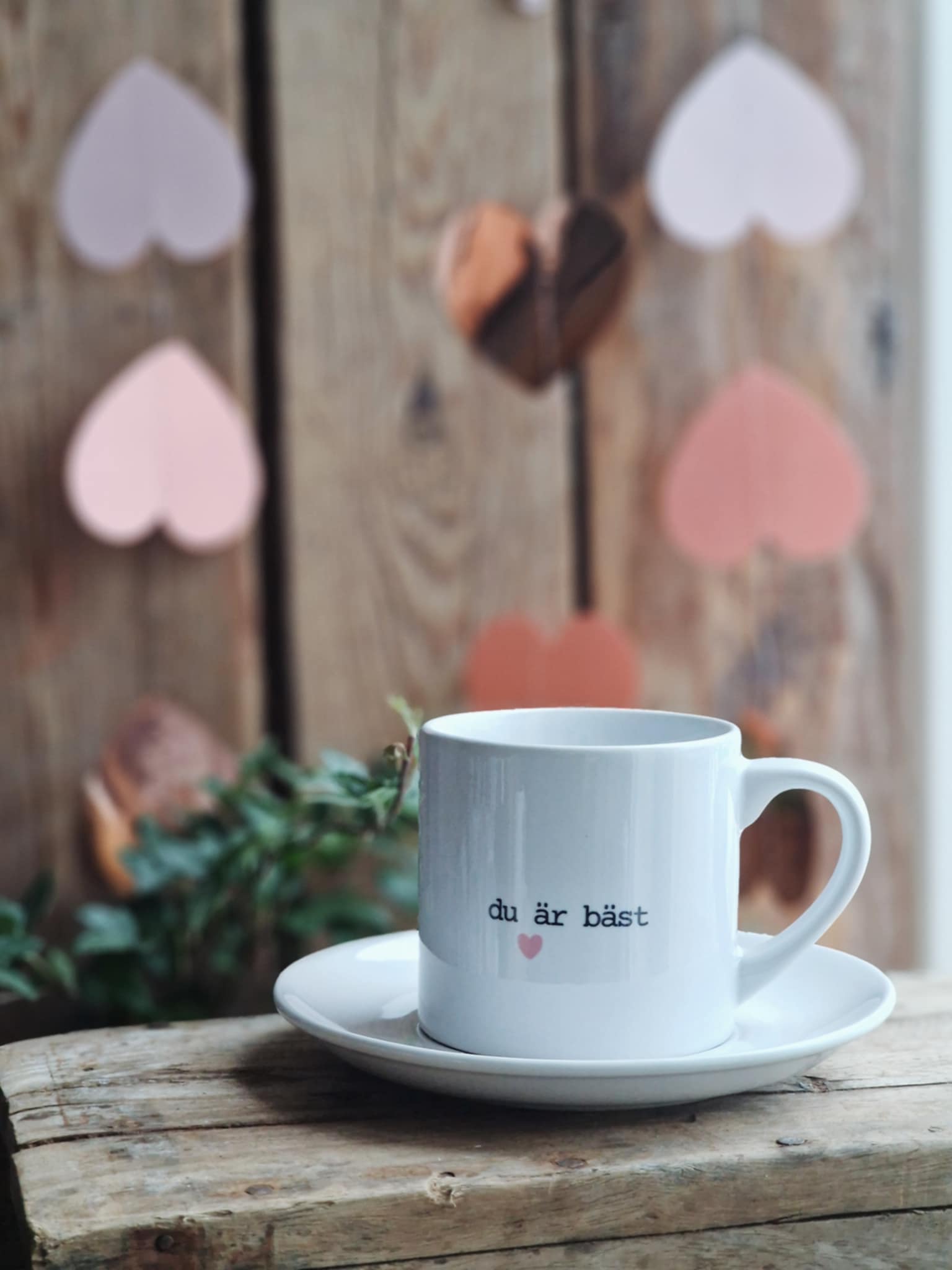 Liten mugg med fat "Du är bäst"