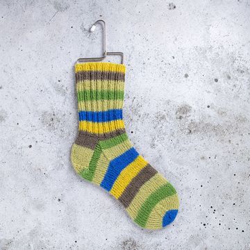 Junior Raggi 439 Bluegrass Band