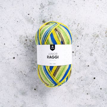 Junior Raggi 439 Bluegrass Band