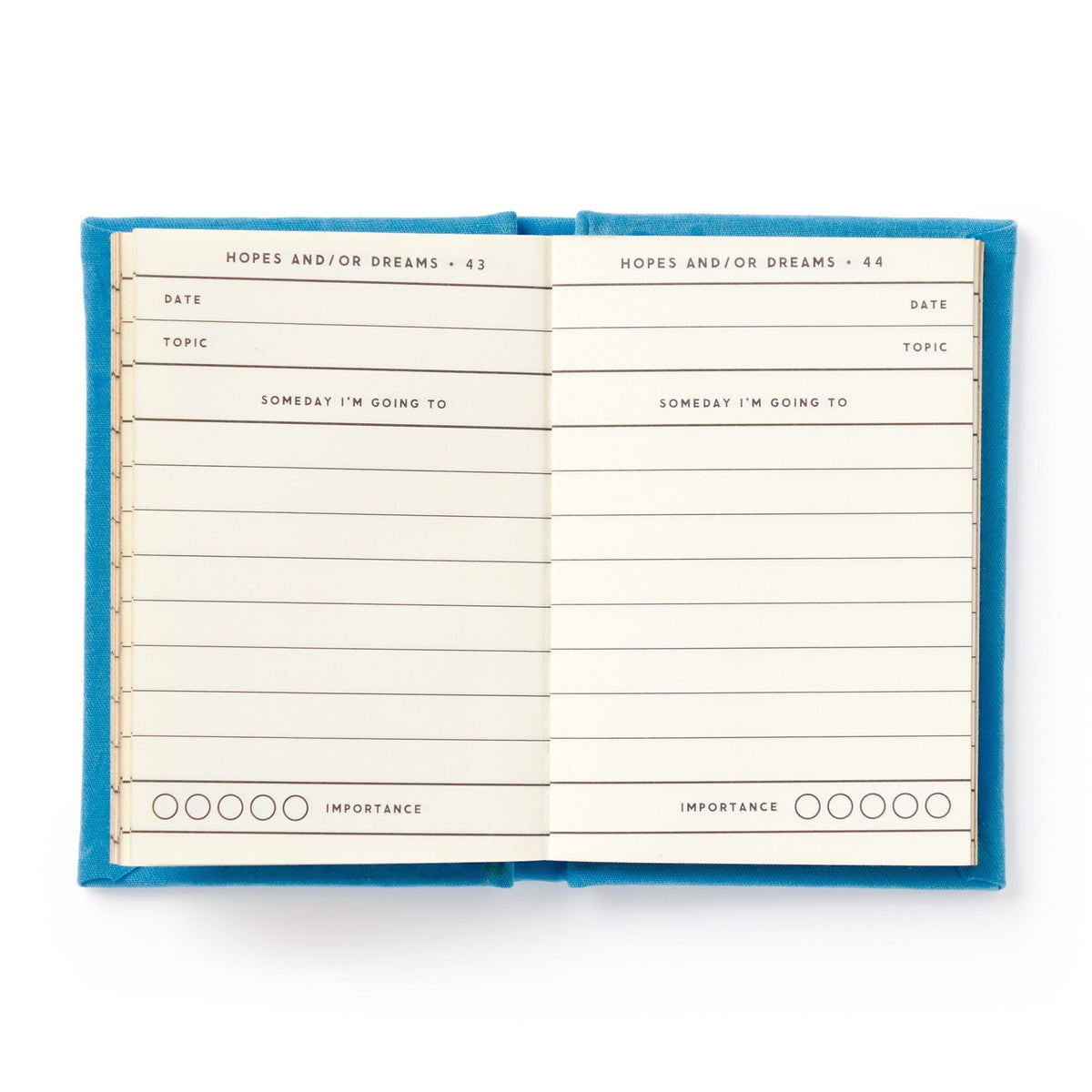 Tiny Hopes and Dreams Tiny Diary - 4