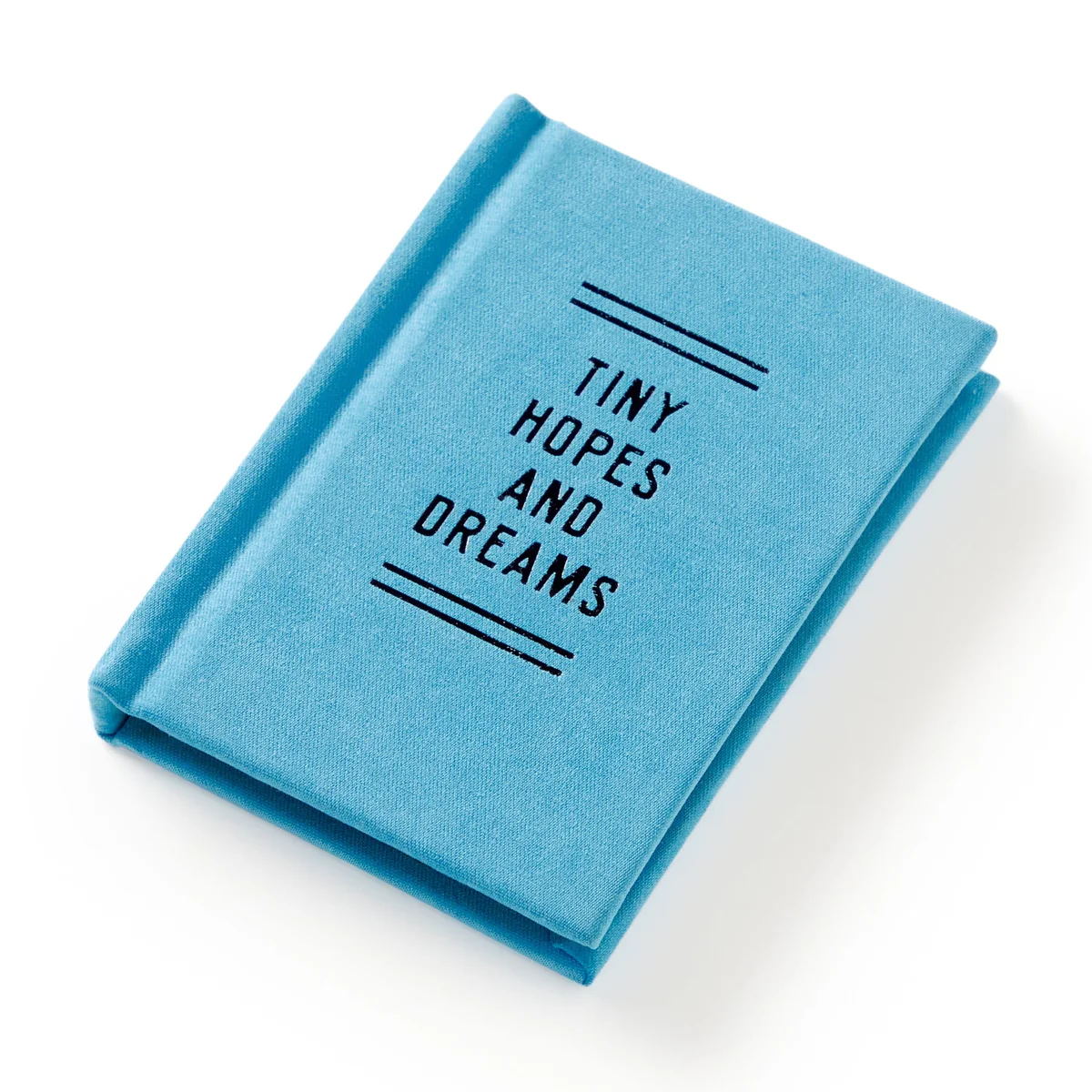 Tiny Hopes and Dreams Tiny Diary - 3