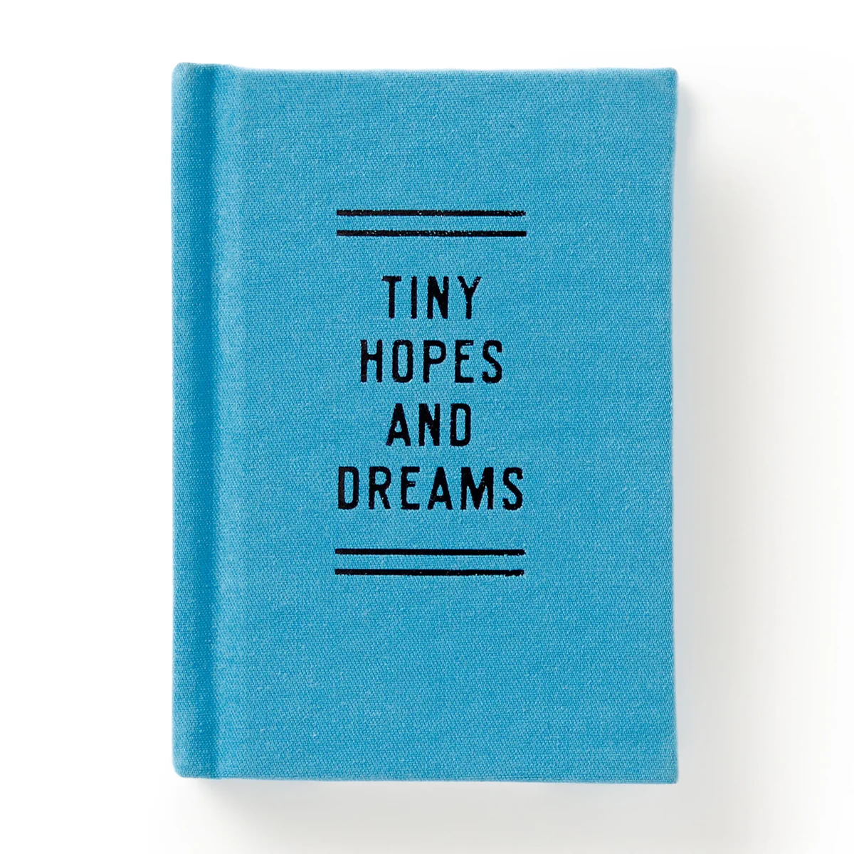 Tiny Hopes and Dreams Tiny Diary - 2