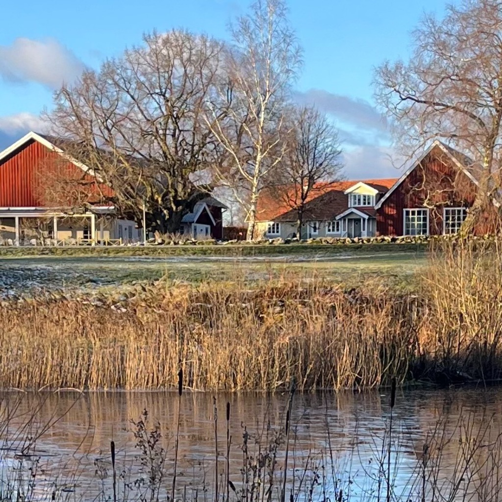 SKÅNSK STICKDAG PÅ HUMLALYCKAN lör 3 okt 2026