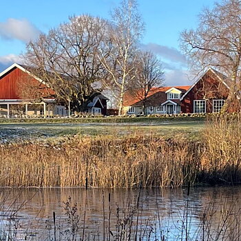 SKÅNSK STICKDAG PÅ HUMLALYCKAN lör 3 okt 2026