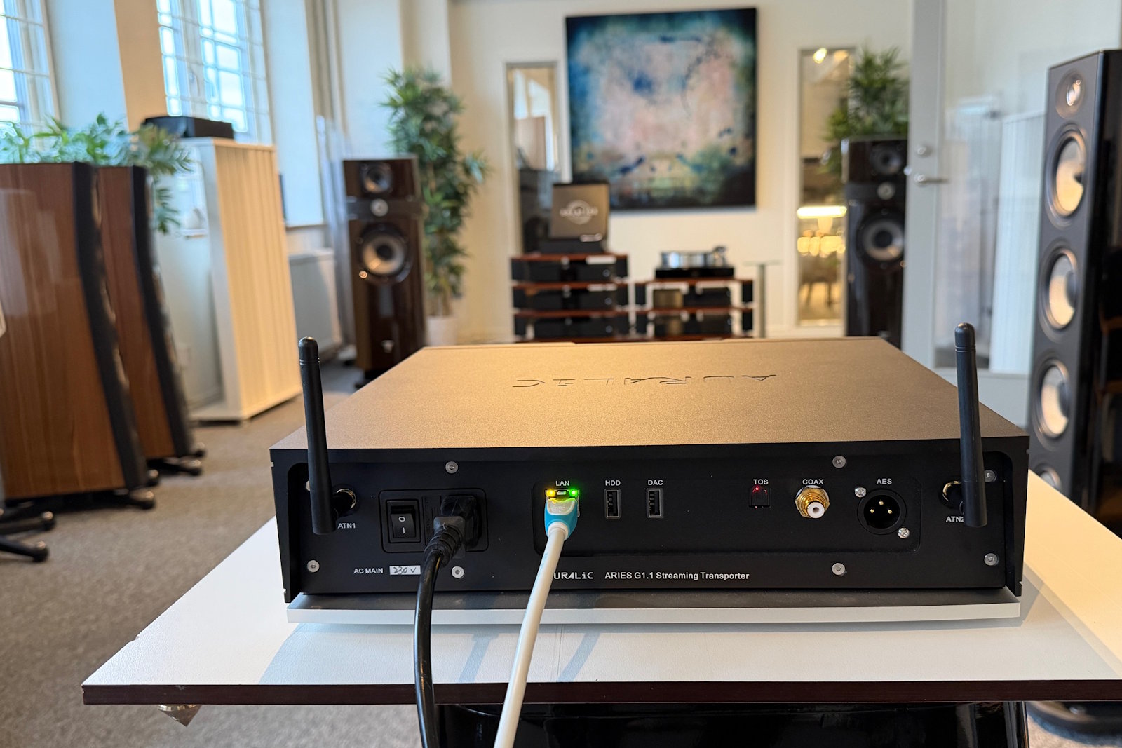 Auralic Aries G1.1 - Streamer - Beg - 2