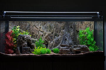 Ceramic Nature - Rockwood 120x50cm