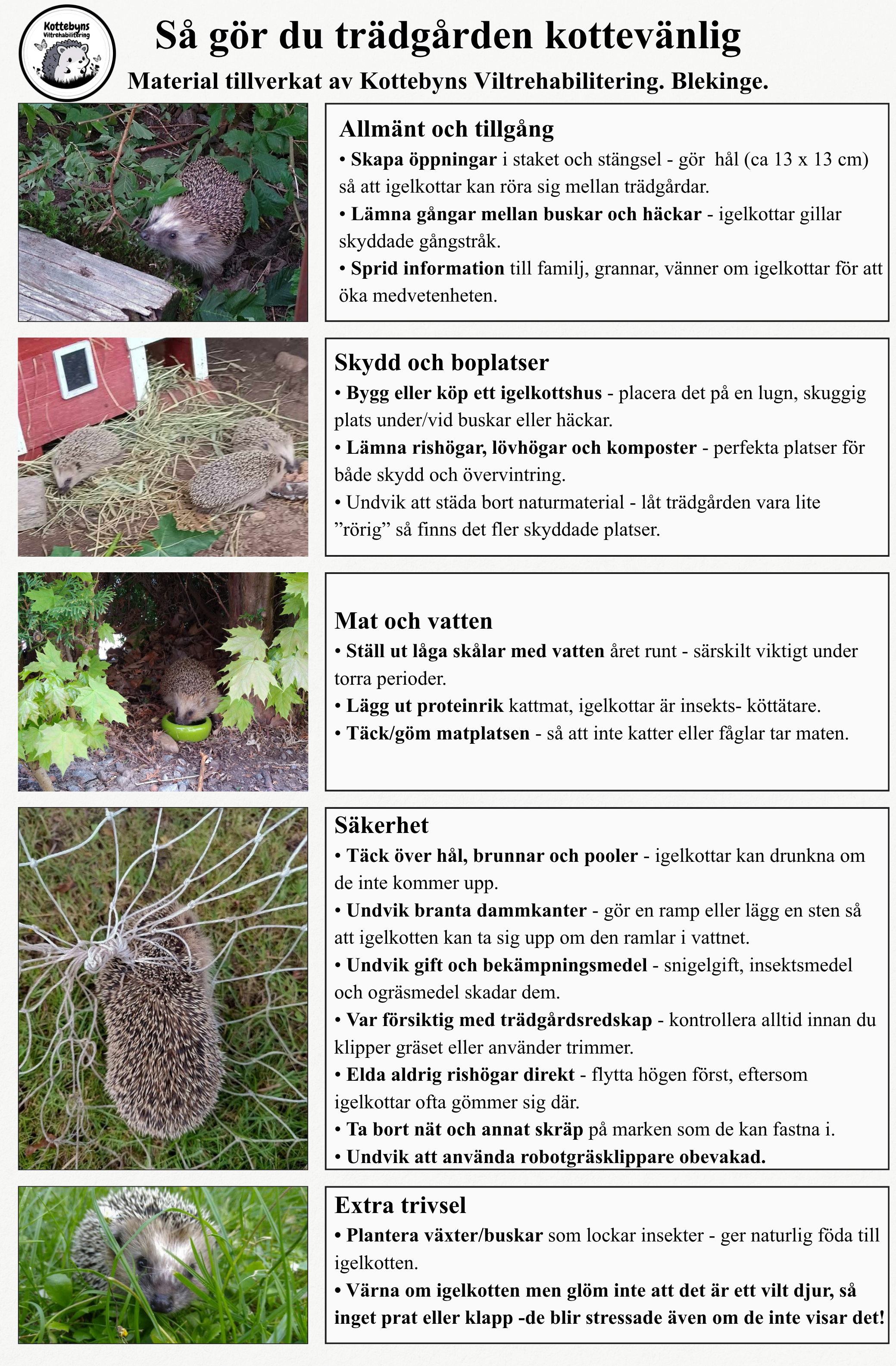 Skydda igelkotten - 2