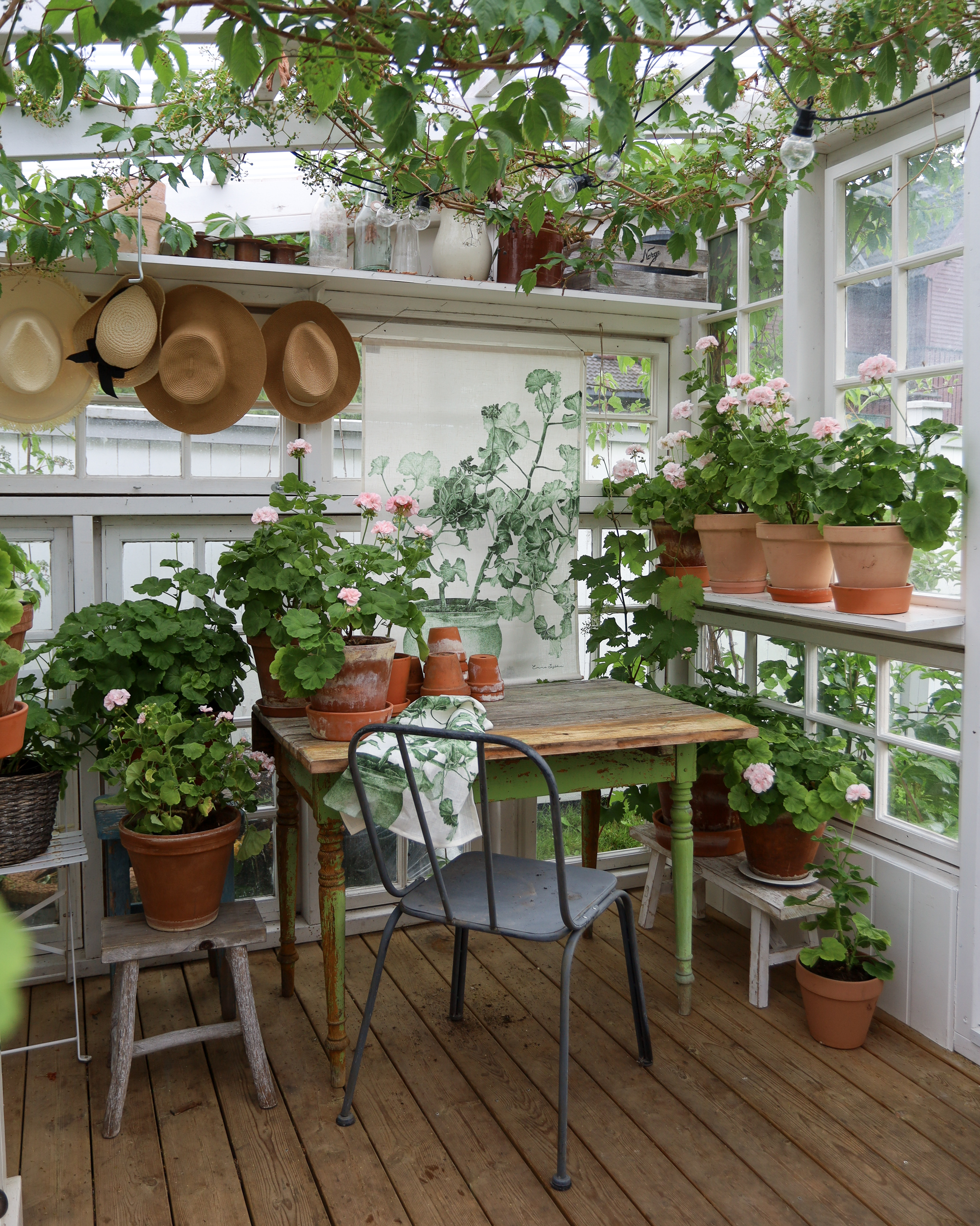 WALL HANGING GREEN GERANIUM  - 5