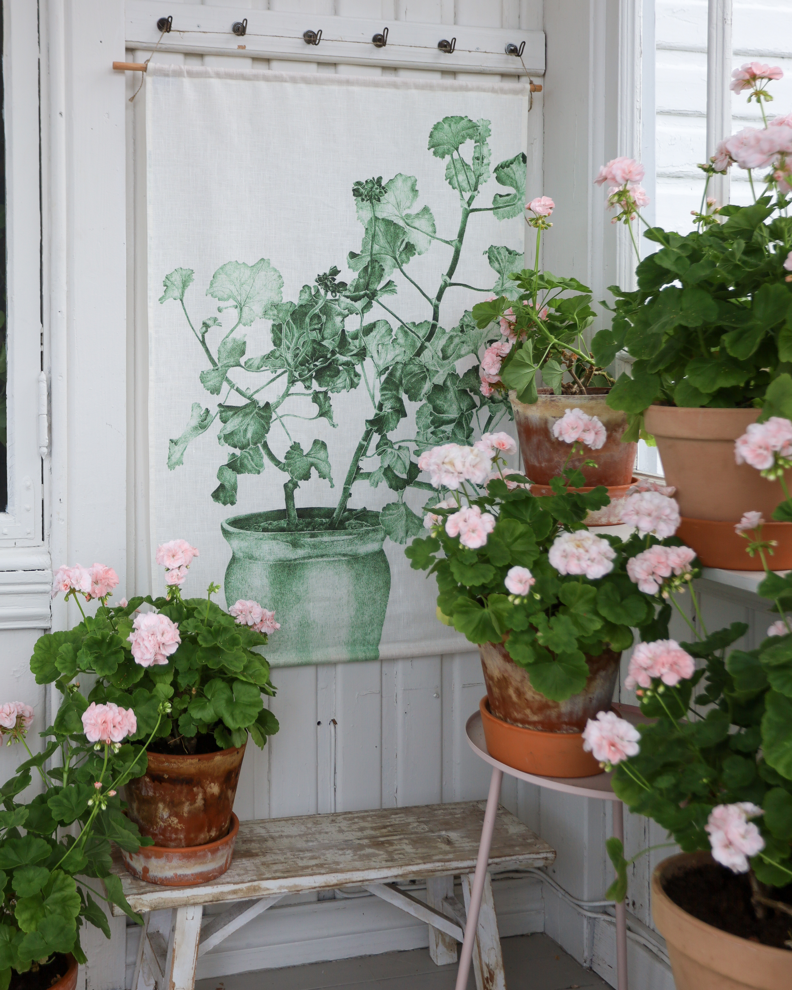 WALL HANGING GREEN GERANIUM 