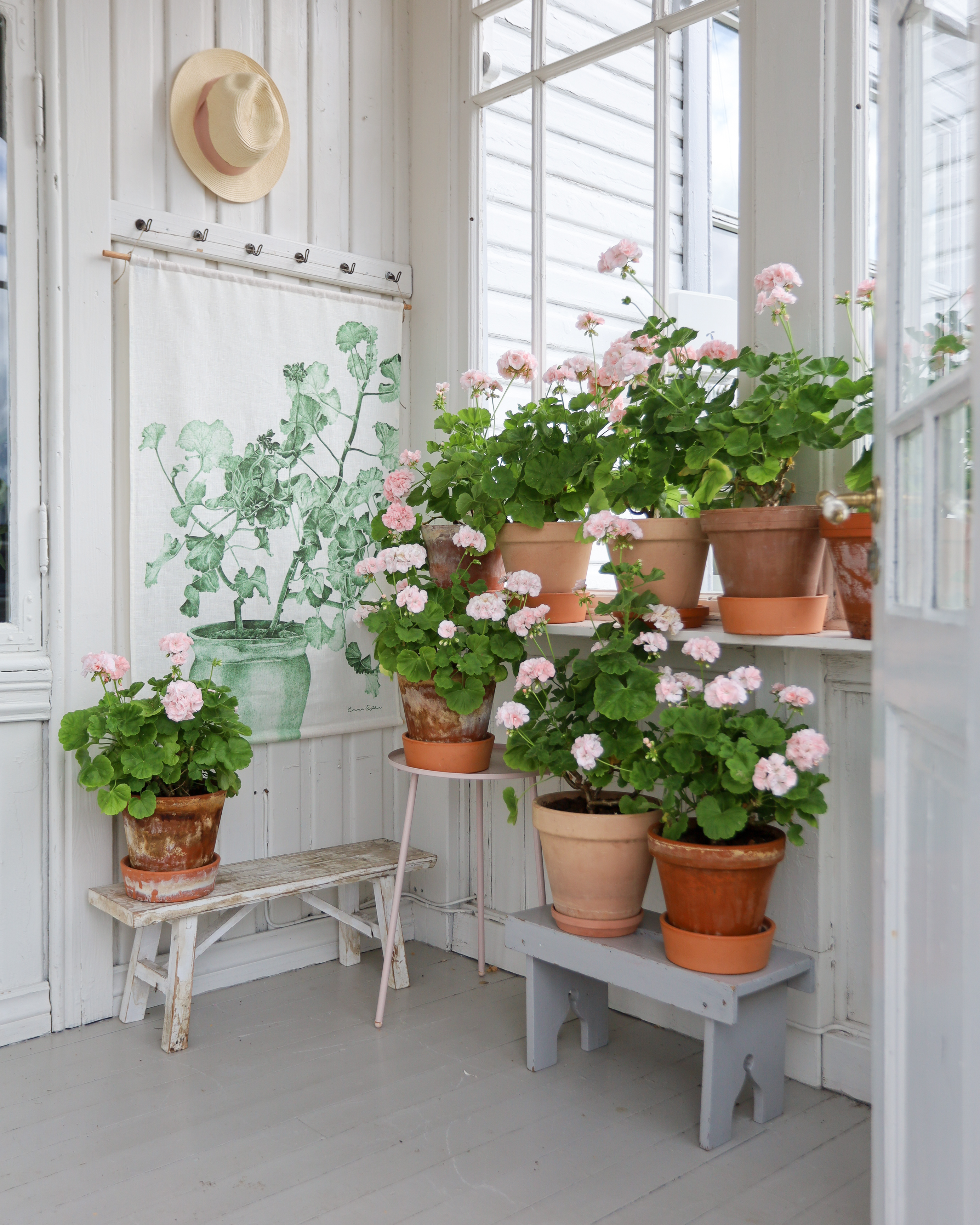 WALL HANGING GREEN GERANIUM  - 6
