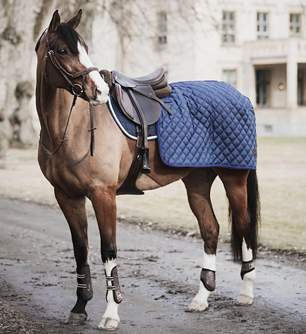 Lippo Quarter Rug