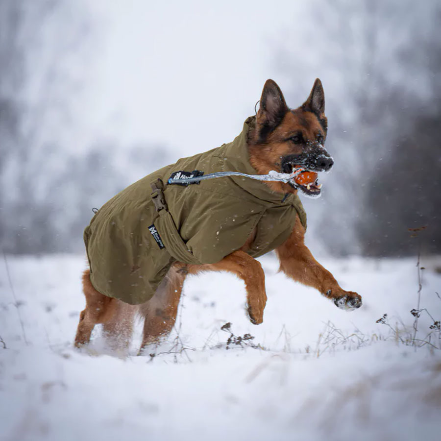 Non-Stop Glacier Dog Jacket WD - 4