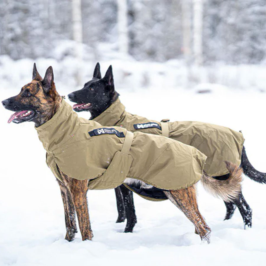 Non-Stop Glacier Dog Jacket WD - 3