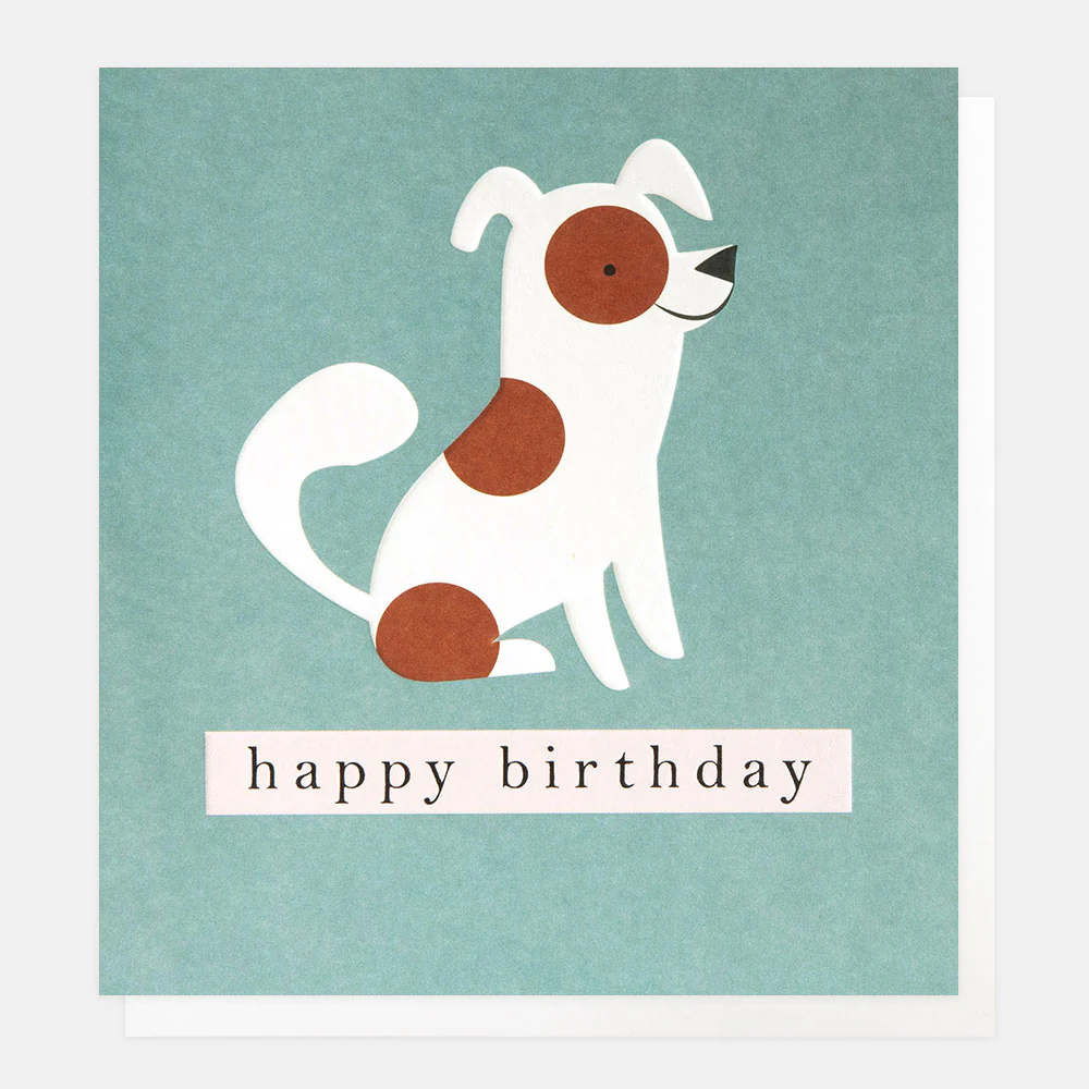 Spotty Dog On Teal, Birthday Card